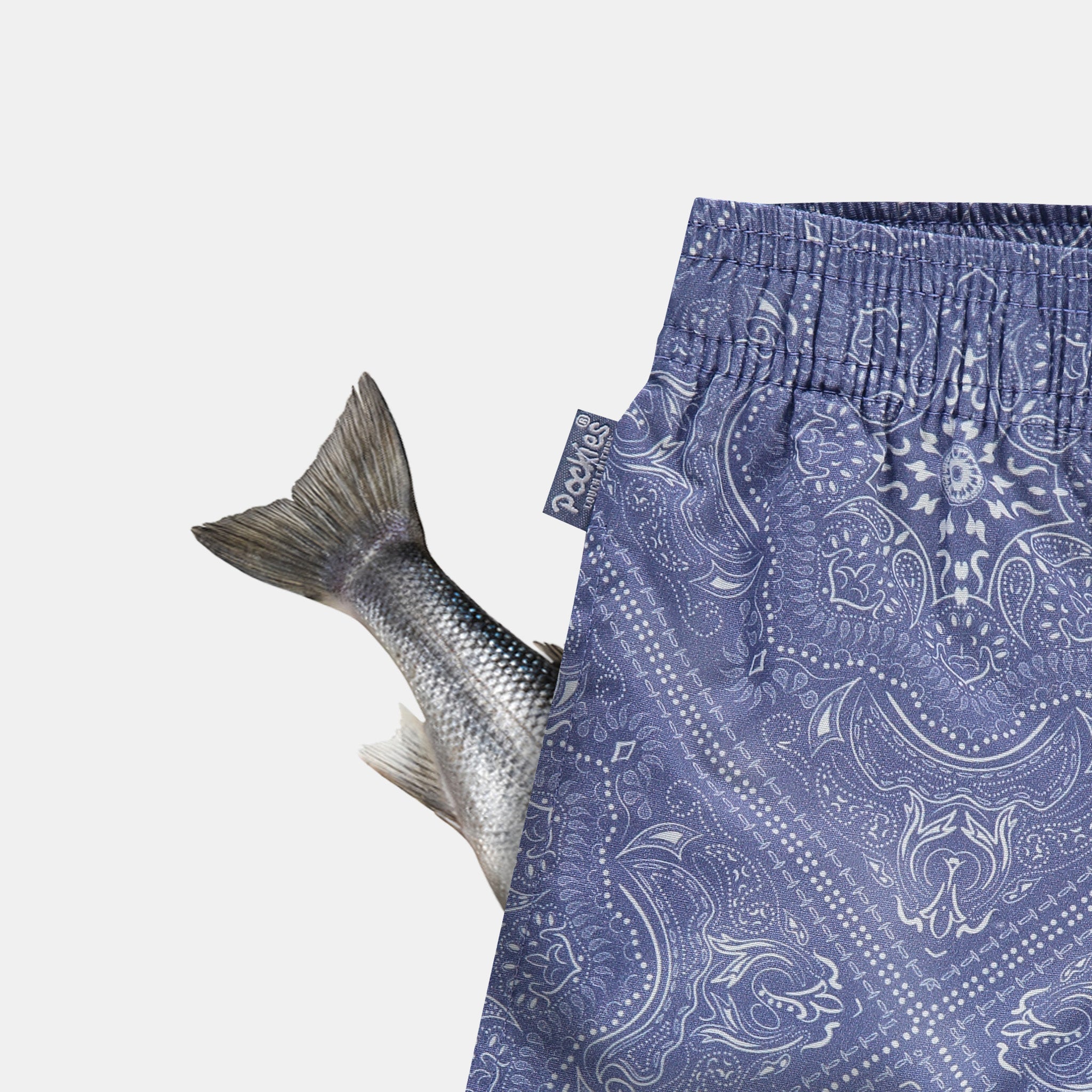 Paisley Blue